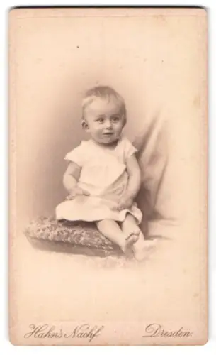 Fotografie Hahn`s Nachf., Dresden, Waisenhausstrasse 34, Sitzendes Kleinkind auf Kissen