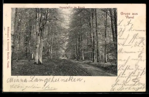 AK Varel, Sumpfallée im Busch