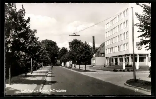 AK Varel, Windallee mit Rathaus