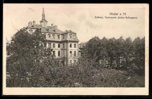 AK Höchst a. M., Rathaus, Gartenseite, früher Bolongaro