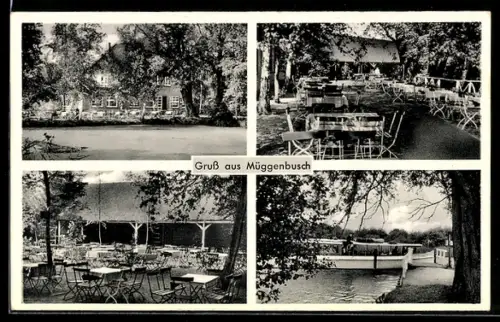AK Lübeck, Kaffee-Restaurant Müggenbusch, Motorboot-Anlegestelle, Gartenterrasse