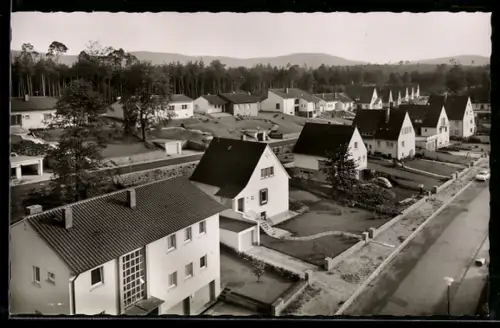AK Kaiserslautern /Pfalz, Im Dunkeltälchen, Jungwald, Wohnsiedlung