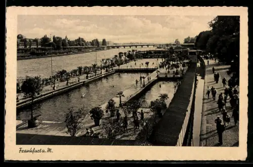 AK Frankfurt a. M., Schwimmbad am Mainufer