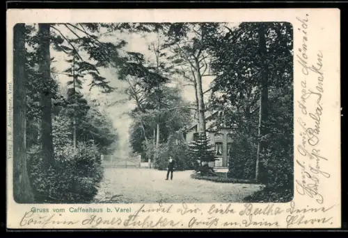 AK Varel, Caffeehaus in der Nähe, Waldansicht