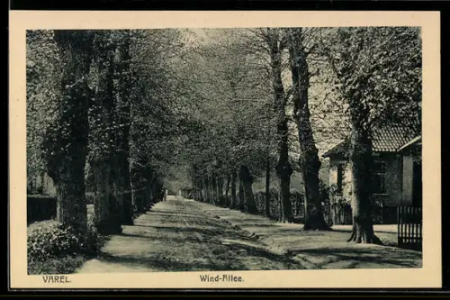 AK Varel, Wind-Allee