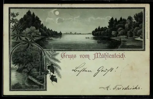Mondschein-Lithographie Varel, Mühlenteich, Teichlandschaft