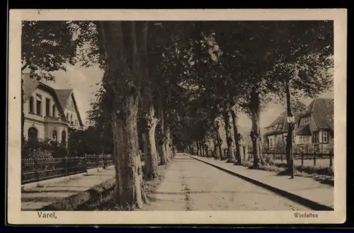 AK Varel, Windallee