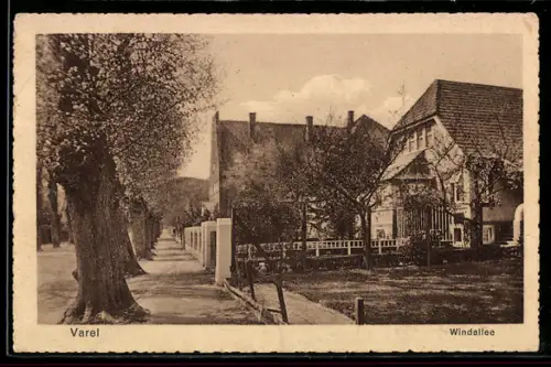 AK Varel, Windallee