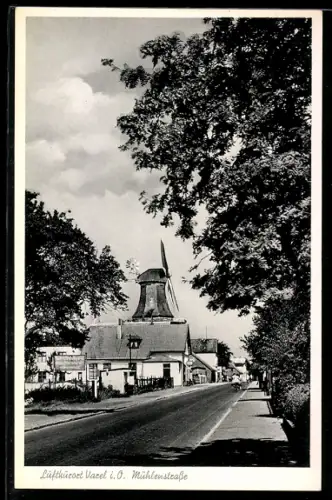 AK Varel i. O., Mühlenstrasse, Windmühle