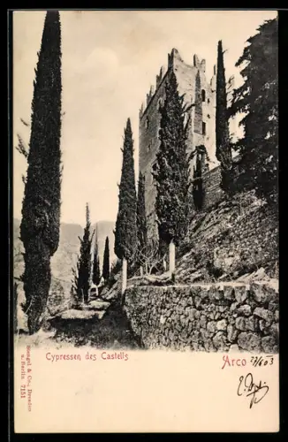 AK Arco, Cypressen des Castells