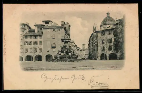 AK Trento, Fontana