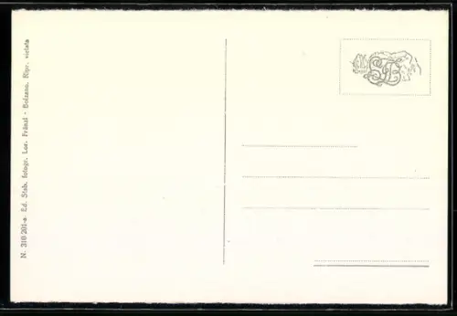 AK Merano, Teatro Civico