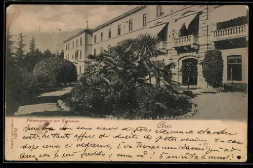 AK Arco, Palmengruppe am Kurhaus
