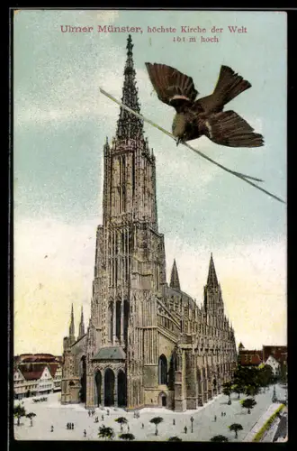 AK Ulm a. D., Blick zum Ulmer Münster