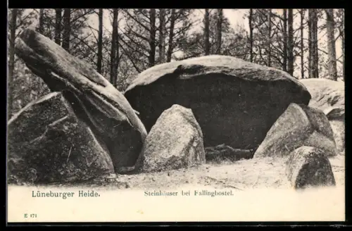 AK Fallingbostel /Lüneburger Heide, Sieben Steinhäuser, Ausgrabung