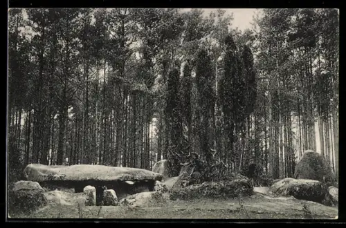 AK Lüneburger Heide, Ausgrabung am Hünengrab I.