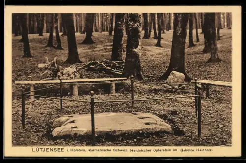AK Lütjensee, Heidnischer Opferstein im Gehölze Hainholz