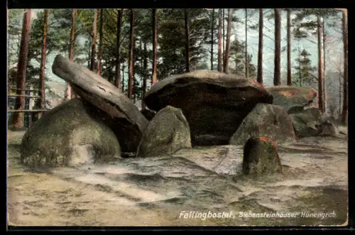 AK Fallingbostel, Siebensteinhäuser Hünengrab, Gesteinsformation