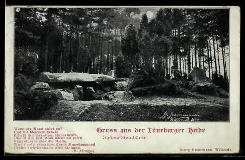 AK Fallingbostel /Lüneburger Heide, Sieben-Steinhäuser, Ausgrabung mit Gedicht von H. Allmers