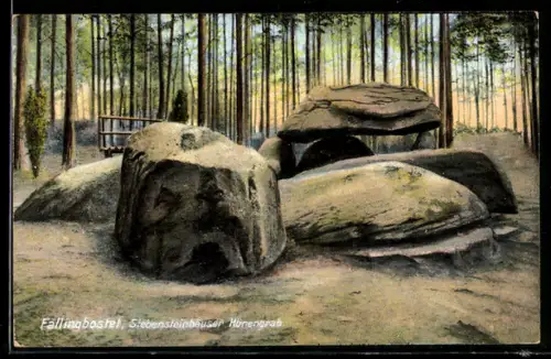 AK Fallingbostel, Siebensteinhäuser Hünengrab, Ausgrabung