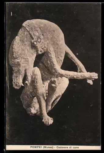 AK Pompei, Cadavere di cane, Ausgrabung