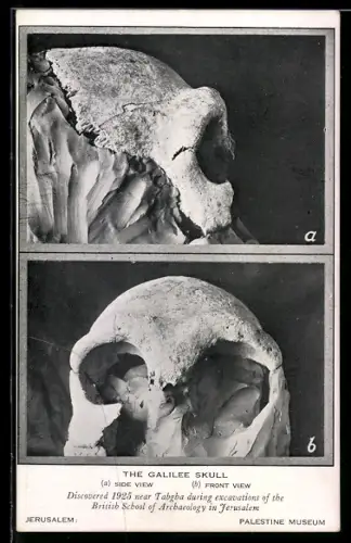 AK Jerusalem, The Galilee Skull in the Palestine Museum, Ausgrabung