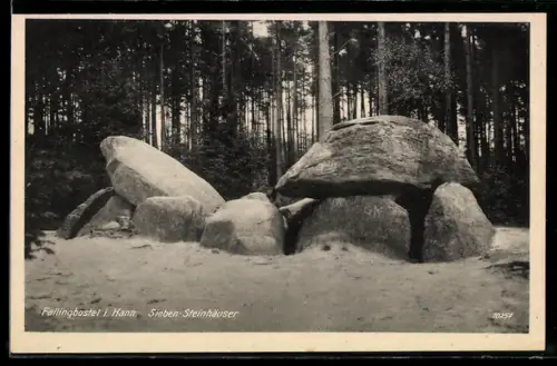 AK Fallingbostel i. Hann., Sieben Steinhäuser, Ausgrabung