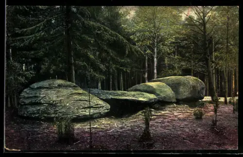 AK Fallingbostel, Hünengrab der Siebensteinhäuser in der Lüneburger Heide