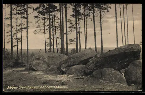 AK Fallingbostel, Sieben Steinhäuser, Hünengrab