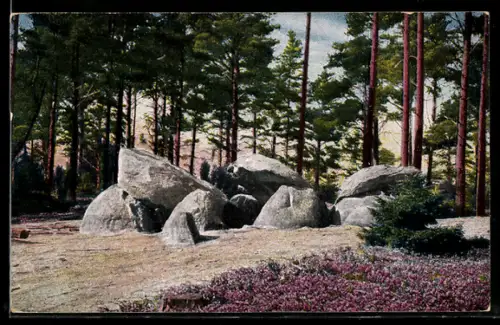 AK Fallingbostel, Sieben Steinhäuser mit Waldstück