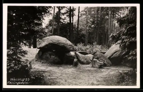 AK Fallingbostel, Hünengrab