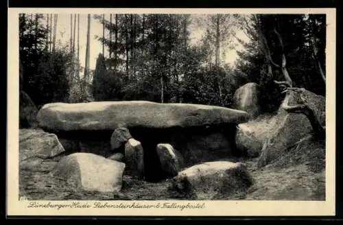 AK Fallingbostel /Lüneburger Heide, Siebensteinhäuser