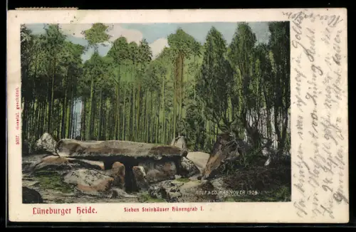 AK Fallingbostel /Lüneburger Heide, Sieben Steinhäuser, Hünengrab I mit Waldstück