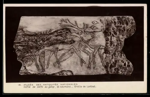 AK Paris, Musée des Antiquités Nationales, Défilé de cerfs au galop, et saumons, Grotte de Lorthet, Ausgrabung