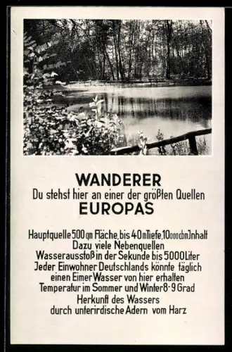 AK Rhumspringe /Südharz, Partie an der Rhume-Quelle