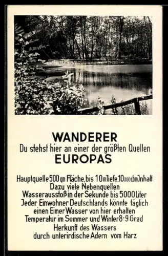 AK Rhumspringe /Südharz, Partie an der Rhume-Quelle