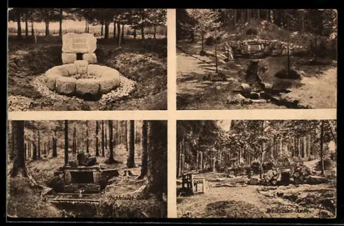 AK Fichtelgebirge, Die 4 Quellen, Eger-Quelle, Saale-Quelle