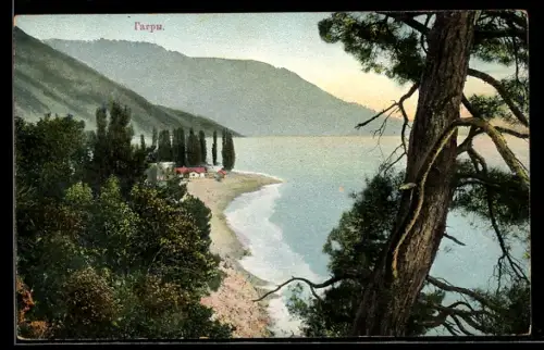 AK Gagra, Perspektive aus der Vogelschau