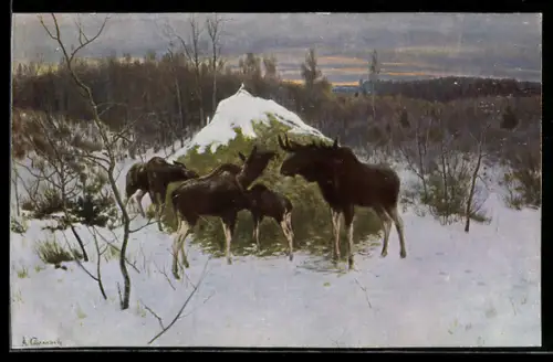 AK Winterfütterung der Elche