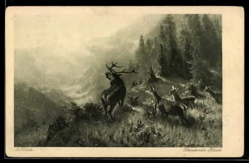Künstler-AK Arthur Thiele: Hirsch und Rehe im morgendlichen Nebel