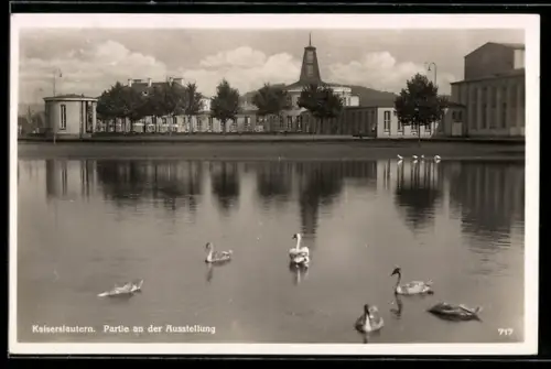 AK Kaiserslautern, Partie an der Ausstellung mit Schwänen
