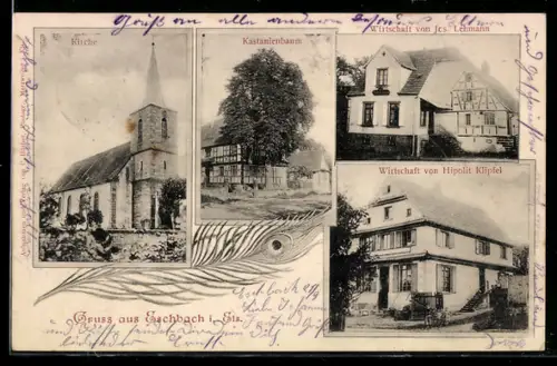 AK Eschbach i. Els., Kirche, Kastanienbaum, Gasthaus von Jes. Lehmann und Gasthaus von Hipolit Klipfel