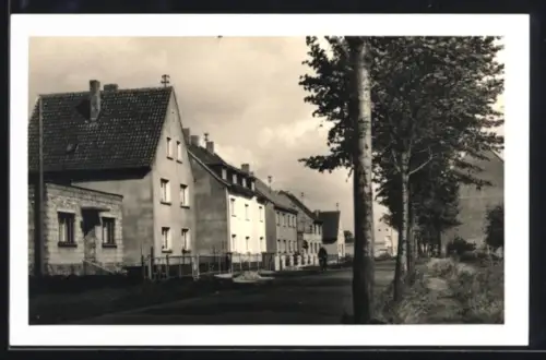 Foto-AK Efferen, Strassenpartie mit Fahrradfahrer
