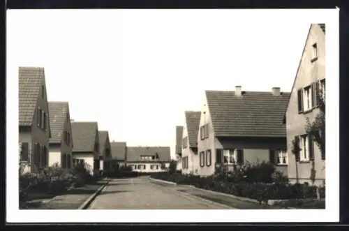 Foto-AK Efferen, Strassenpartie mit Wohnhäusern und Vorgärten