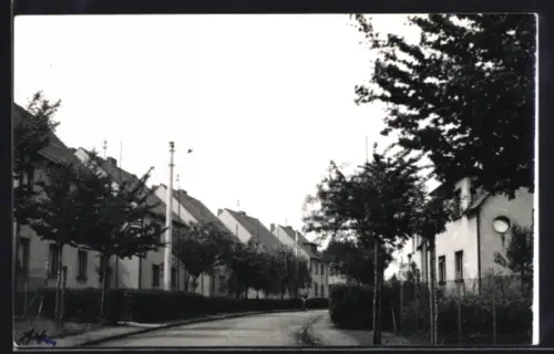 Foto-AK Efferen, Strassenpartie mit Wohnhäusern und Radfahrer