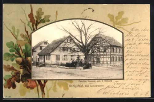 AK Königsfeld, Hotel Pension Krumm, Inh. J. Reinold, Eicheln im Passepartout