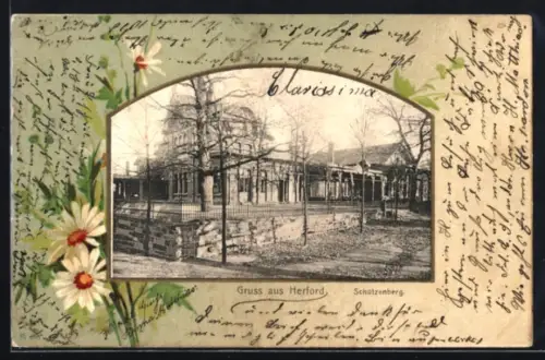 Grusskarten-AK Herford, Partie am Schützenberg mit Villa, Margeriten im Passepartout