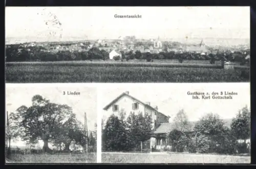 AK Neuenhain a. T., Gasthaus zu den 3 Linden, Gesamtansicht