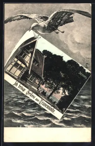 Grusskarten-AK Travemünde, Möwe trägt Ansicht vom Seetempel