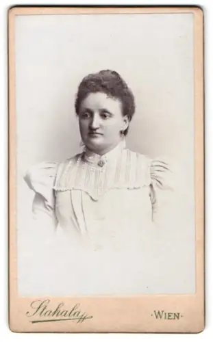 Fotografie Stahala, Wien, Langegasse 46, Elegantes Porträt einer Dame